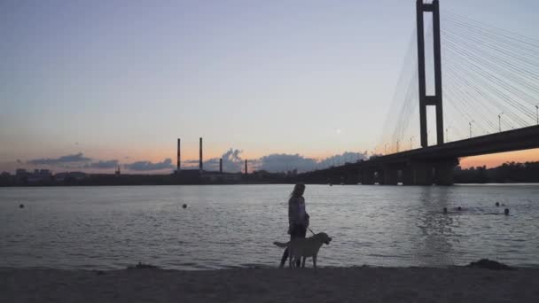 Bella ragazza cammina con un cane sulla riva del fiume — Video Stock