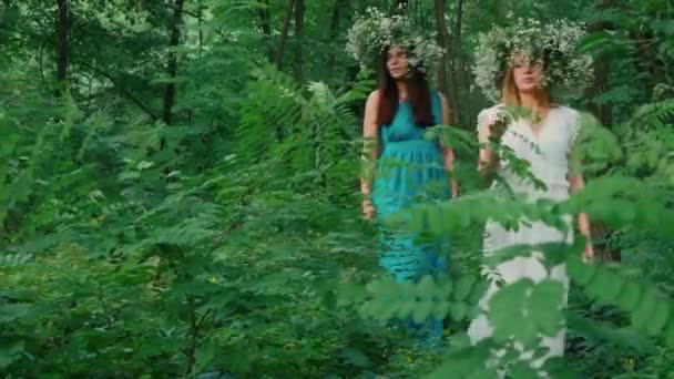 Belle fille avec une couronne de fleurs dans le parc — Video