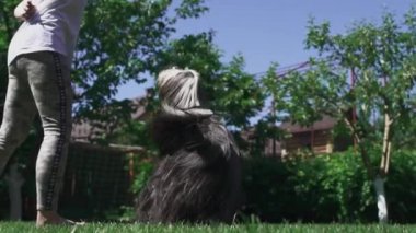 Kız onun köpeği bahçesinde çalış