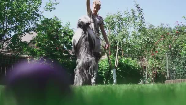 Le garçon jette sa nourriture pour chien et l'attrape 