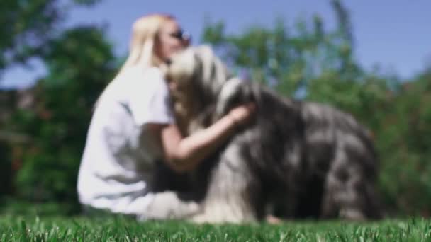 Жінка пестить свого собаку, сидячи на траві — стокове відео