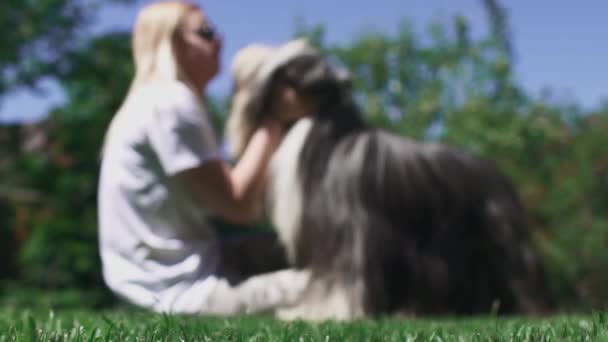 Mulher acaricia seu cão sentado na grama — Vídeo de Stock