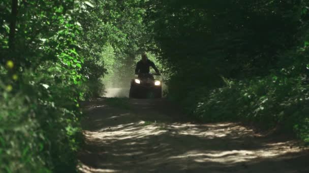 Joven conduce ATV en el bosque — Vídeos de Stock