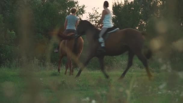 Dvě dívky jezdí na koních — Stock video