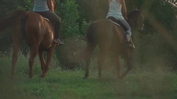 Две девушки ездят на лошадях — стоковое видео
