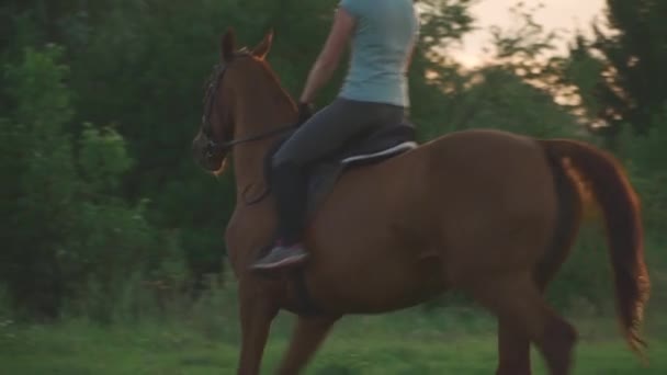 Meisje is het berijden van een paard — Stockvideo