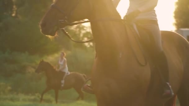 Två tjejer rida hästar — Stockvideo