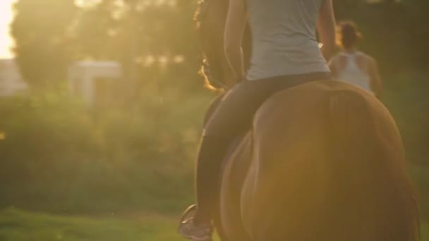 Dos chicas montan a caballo — Vídeo de stock