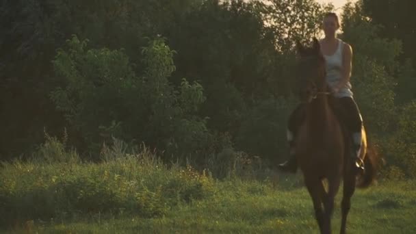 Girl is riding a horse — Stock Video