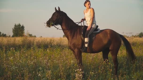 Chica está montando un caballo — Vídeo de stock