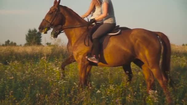 Dos chicas montan a caballo — Vídeo de stock