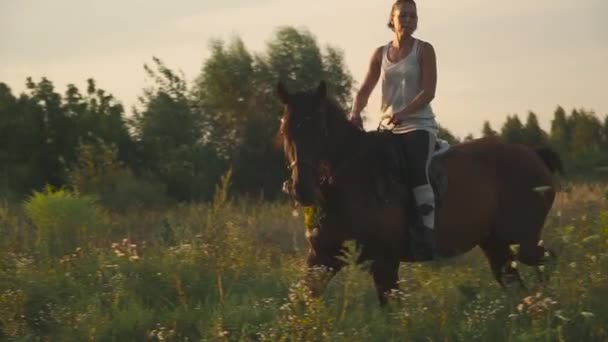 那个女孩骑着马 漂亮的女孩 短发型骑 年轻的女孩与一匹马户外 漂亮的马 马在走的时候啃草 — 图库视频影像