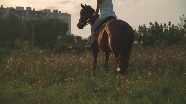 Mädchen sitzt auf einem Pferd — Stockvideo