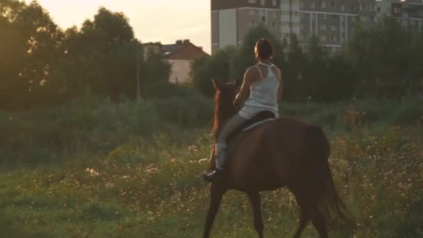 Zwei Mädchen mit Pferden im Freien — Stockvideo