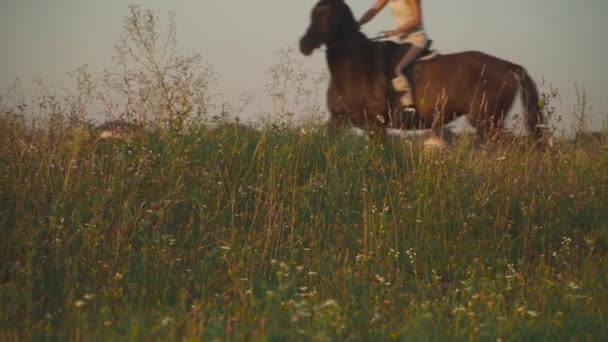 Девушка едет на лошади — стоковое видео