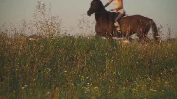 Meisje is het berijden van een paard — Stockvideo