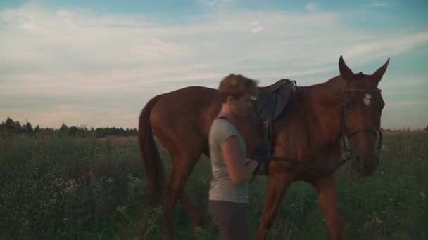 Young girl is holding the horse in check — Stock Video