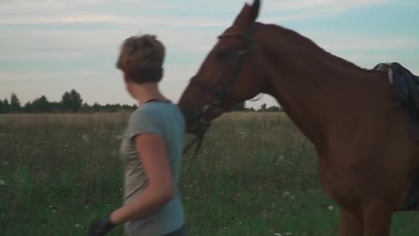 Chica joven está sosteniendo el caballo en jaque — Vídeos de Stock