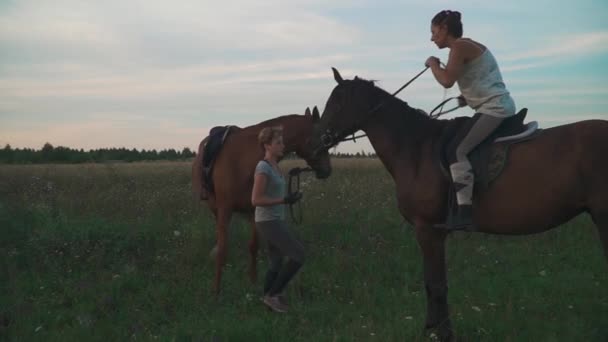 Two girls with horses on the field — Stock Video