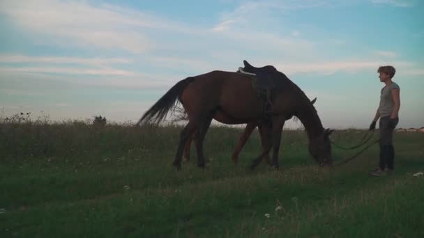 美丽的女孩握着两匹马的缰绳 — 图库视频影像