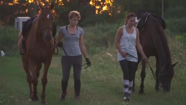 Две девушки едут на двух лошадях по полевой дороге — стоковое видео