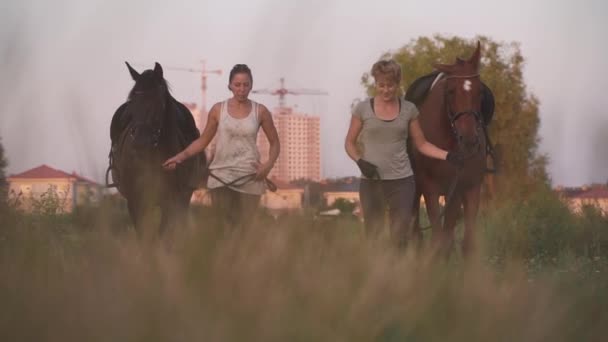 Twee meisjes rijden twee paarden op de weg van een veld — Stockvideo