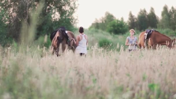 Två unga flickor med hästar på fältet — Stockvideo