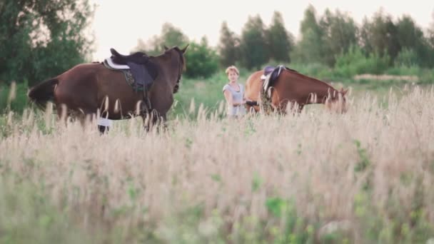 Dos chicas jóvenes con caballos en el campo — Vídeos de Stock