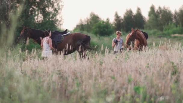 Dos chicas jóvenes con caballos en el campo — Vídeos de Stock