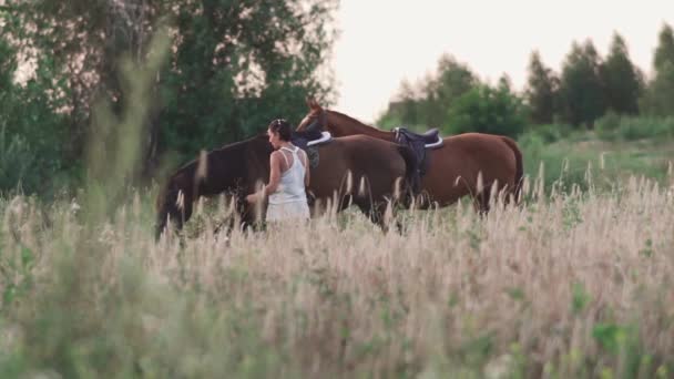 Дві молоді дівчата з конями на полі — стокове відео