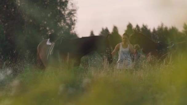 Two young girls with horses on the field — Stock Video