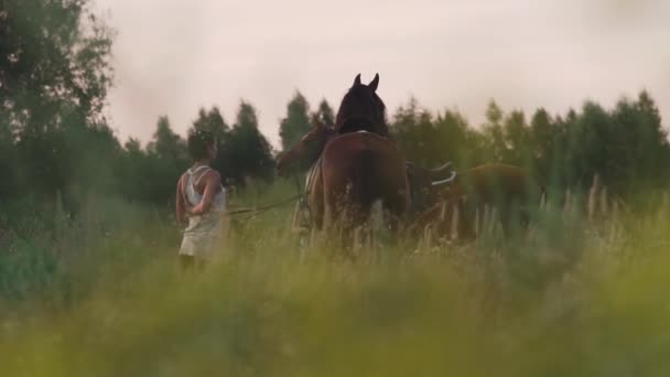 Dos chicas jóvenes con caballos en el campo — Vídeos de Stock