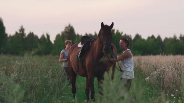女孩试图阻止一匹淘气的马 — 图库视频影像