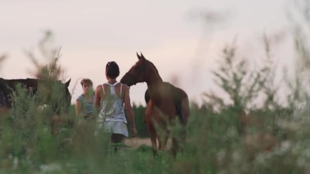 Dos chicas jóvenes con caballos en el campo — Vídeo de stock