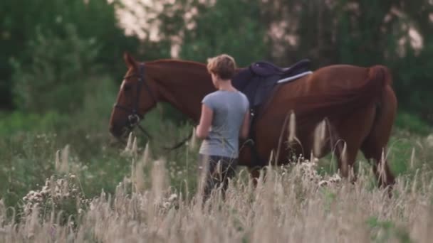 Jovencita sostiene el caballo por las riendas — Vídeos de Stock
