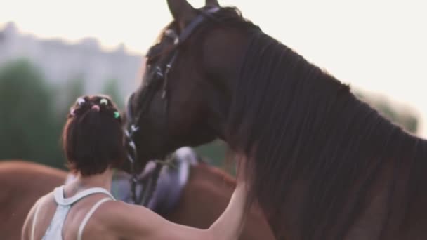 Ung flicka och två hästar — Stockvideo