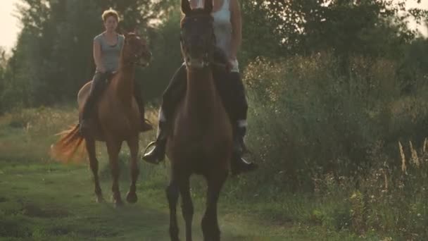 Dvě dívky jezdí na koních — Stock video