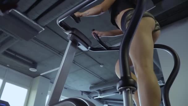 Beautiful young girl on the simulator in the gym — Stock Video