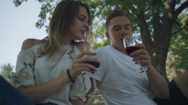 Νέοι gouple πίνουν κρασί εξωτερική — Αρχείο Βίντεο
