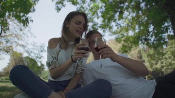Jong koppel drinken wijn uit glazen in de natuur — Stockvideo