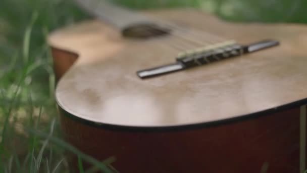 Акустическая гитара на зеленой траве — стоковое видео