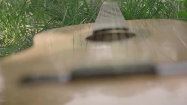 Guitarra acústica sobre hierba verde — Vídeos de Stock