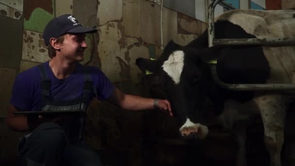 Jovem trabalhador agrícola acariciando uma vaca — Vídeo de Stock