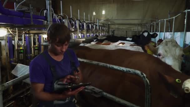Мужчина фермер записывает на планшет данные о корове — стоковое видео