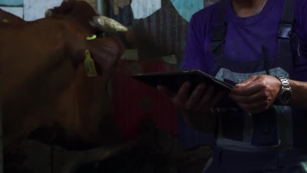 Mannen in overalls schrijft gegevens naar de tablet over de koe — Stockvideo