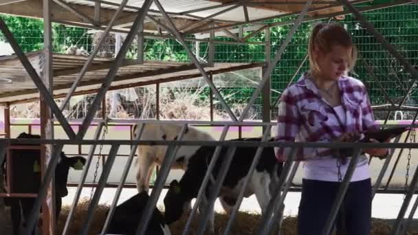 Farm girl is checking information in tablet — Stock Video