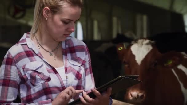 Piękna dziewczyna zapisuje informacje o krowy na tablecie — Wideo stockowe