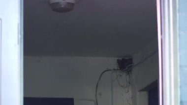 Kırlangıçlar odanın köşesinde iç içe