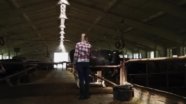 Menina da fazenda no celeiro — Vídeo de Stock
