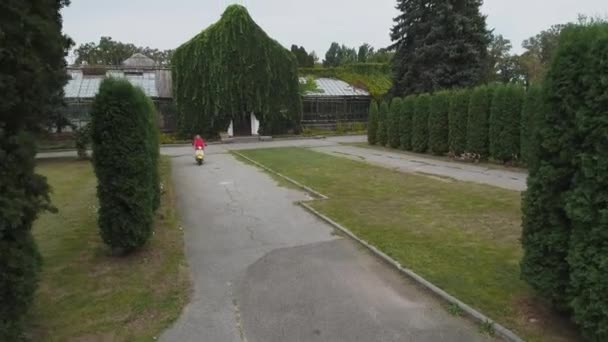 Jolie fille chevauchant un scooter dans le parc. Une jeune fille conduit un cyclomoteur dans le parc. Tir depuis le drone .